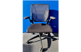 Humanscale Diffrient World Mesh Chair in Black