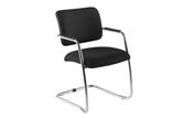 Venus Low Back Cantilever Armchair