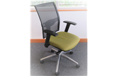 Used Elite Loreto Executive Task Chair - Gooseberry