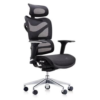 Dorsum Ergonomic Mesh Chair