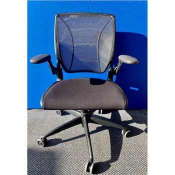 Humanscale Diffrient World Mesh Chair in Black