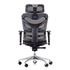 Dorsum Ergonomic Mesh Chair - Back View