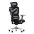 Dorsum Ergonomic Mesh Chair - Back View