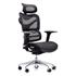 Dorsum Ergonomic Mesh Chair