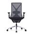 CK Easement Mesh Chair - Black